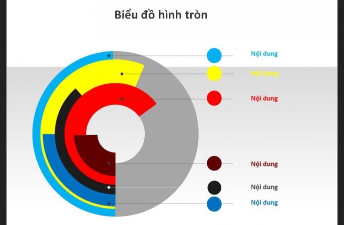 biểu đồ tròn gồm nhiều hình tròn
